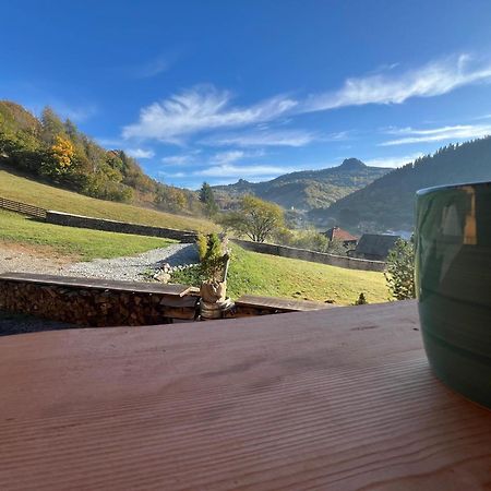 Bucium Ralph Cabin- Apuseni Mountains, Transylvania别墅 外观 照片