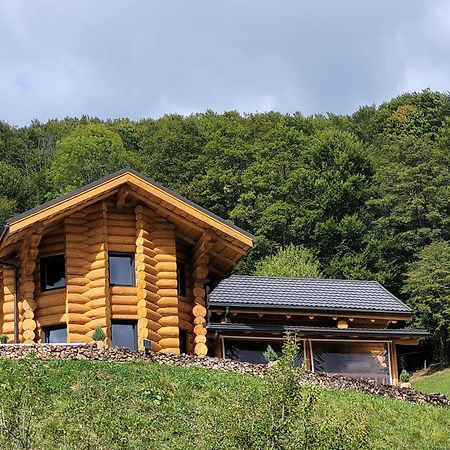 Bucium Ralph Cabin- Apuseni Mountains, Transylvania别墅 外观 照片