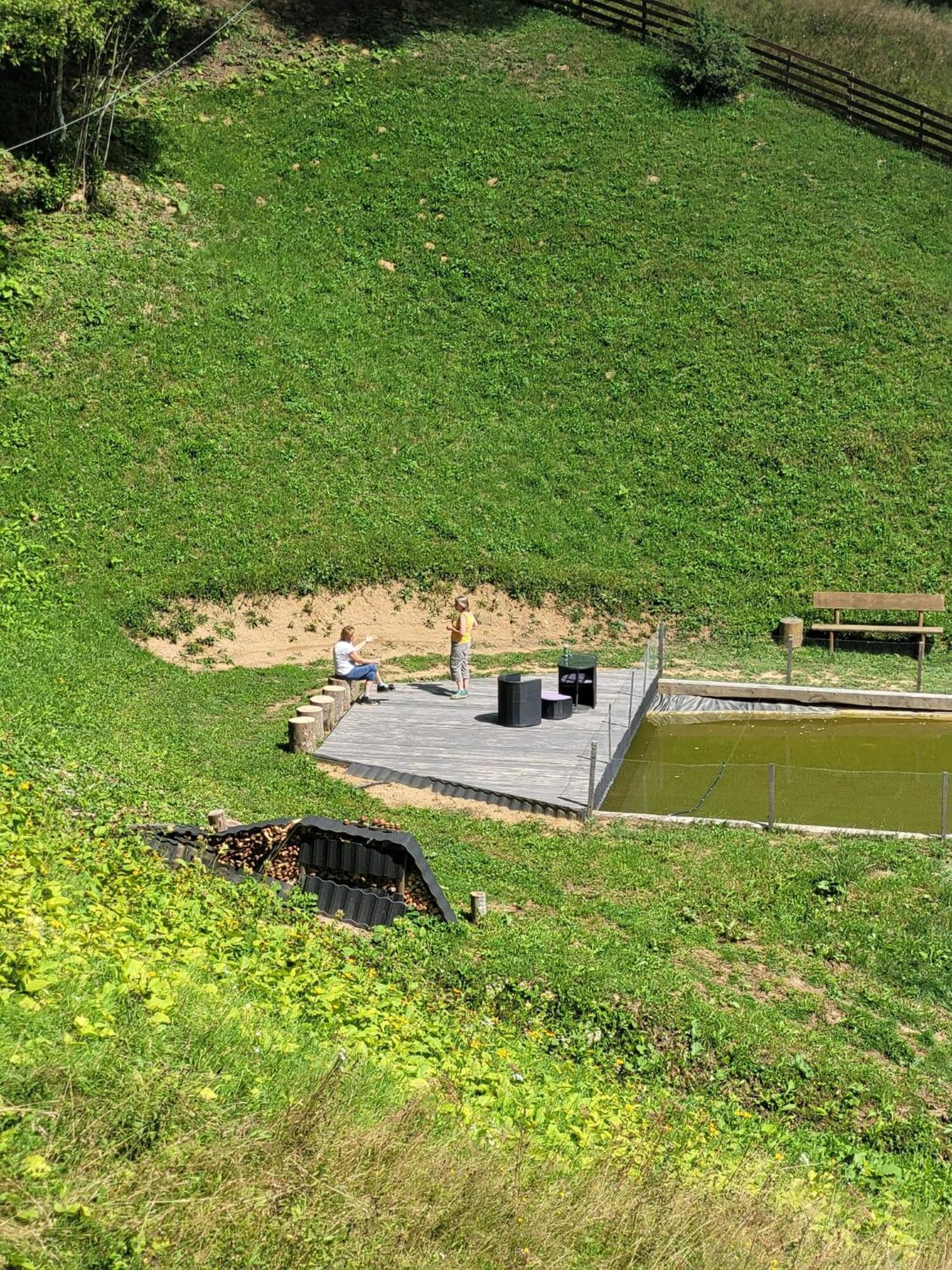 Bucium Ralph Cabin- Apuseni Mountains, Transylvania别墅 外观 照片