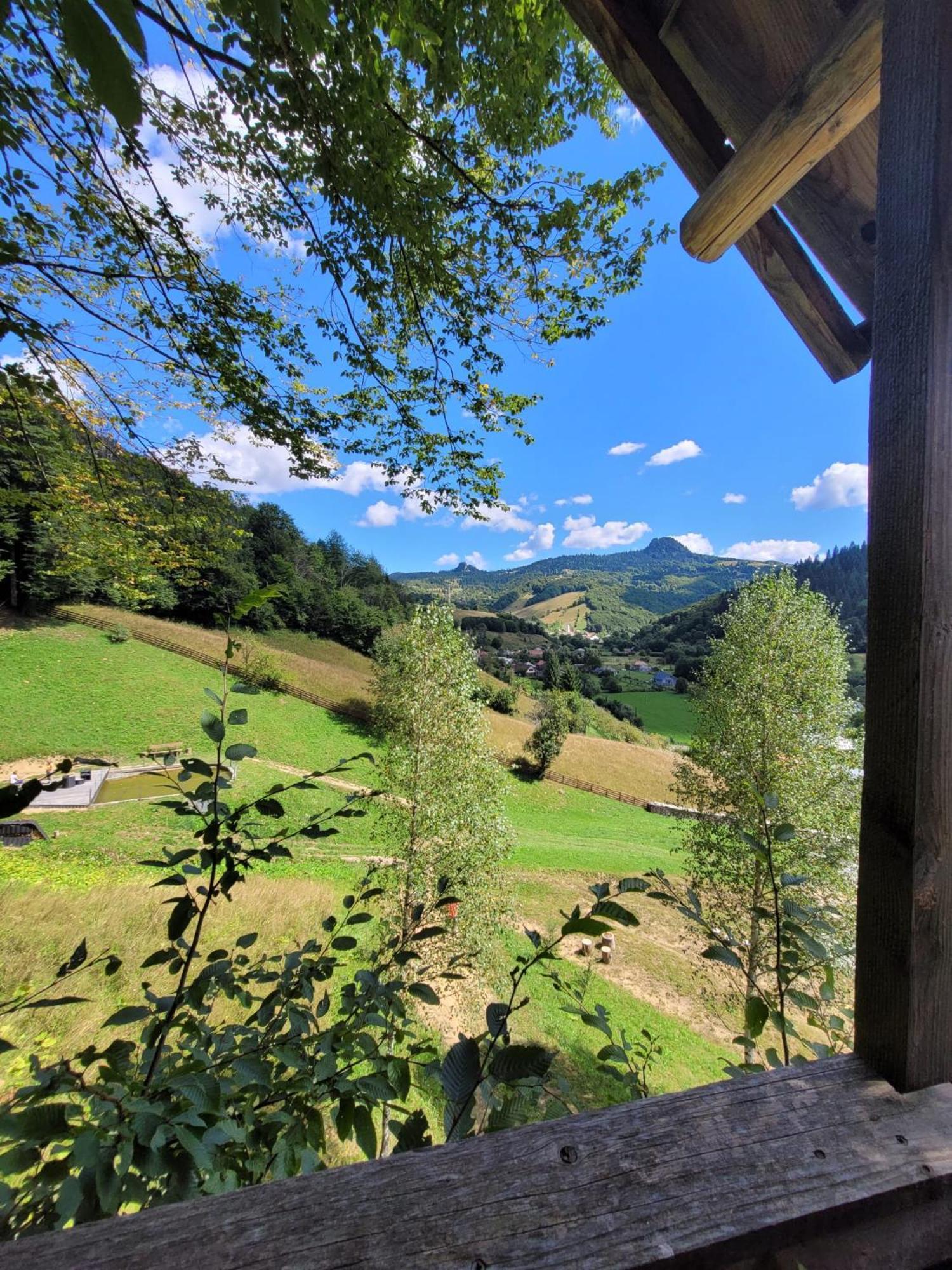 Bucium Ralph Cabin- Apuseni Mountains, Transylvania别墅 外观 照片