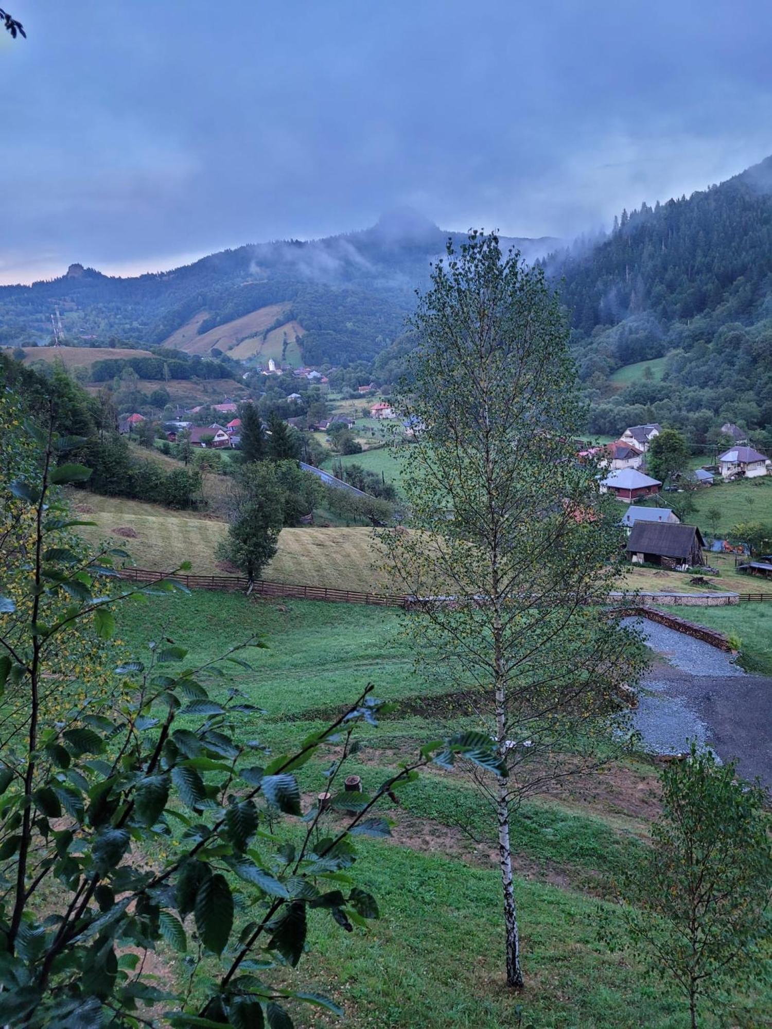 Bucium Ralph Cabin- Apuseni Mountains, Transylvania别墅 外观 照片