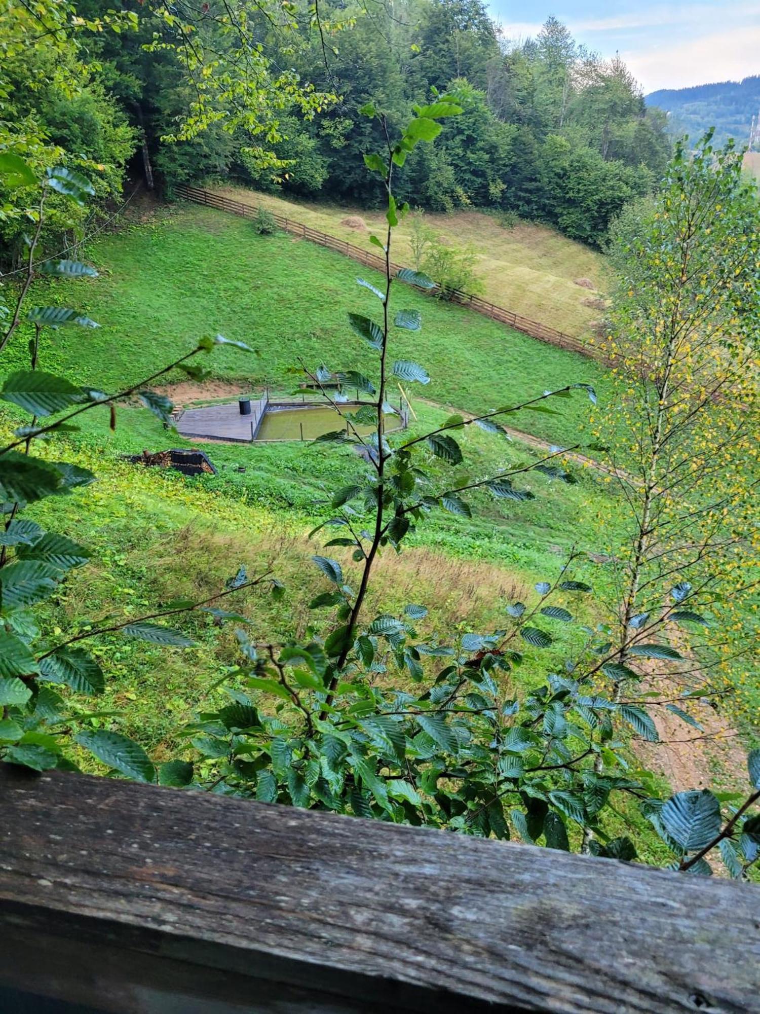 Bucium Ralph Cabin- Apuseni Mountains, Transylvania别墅 外观 照片