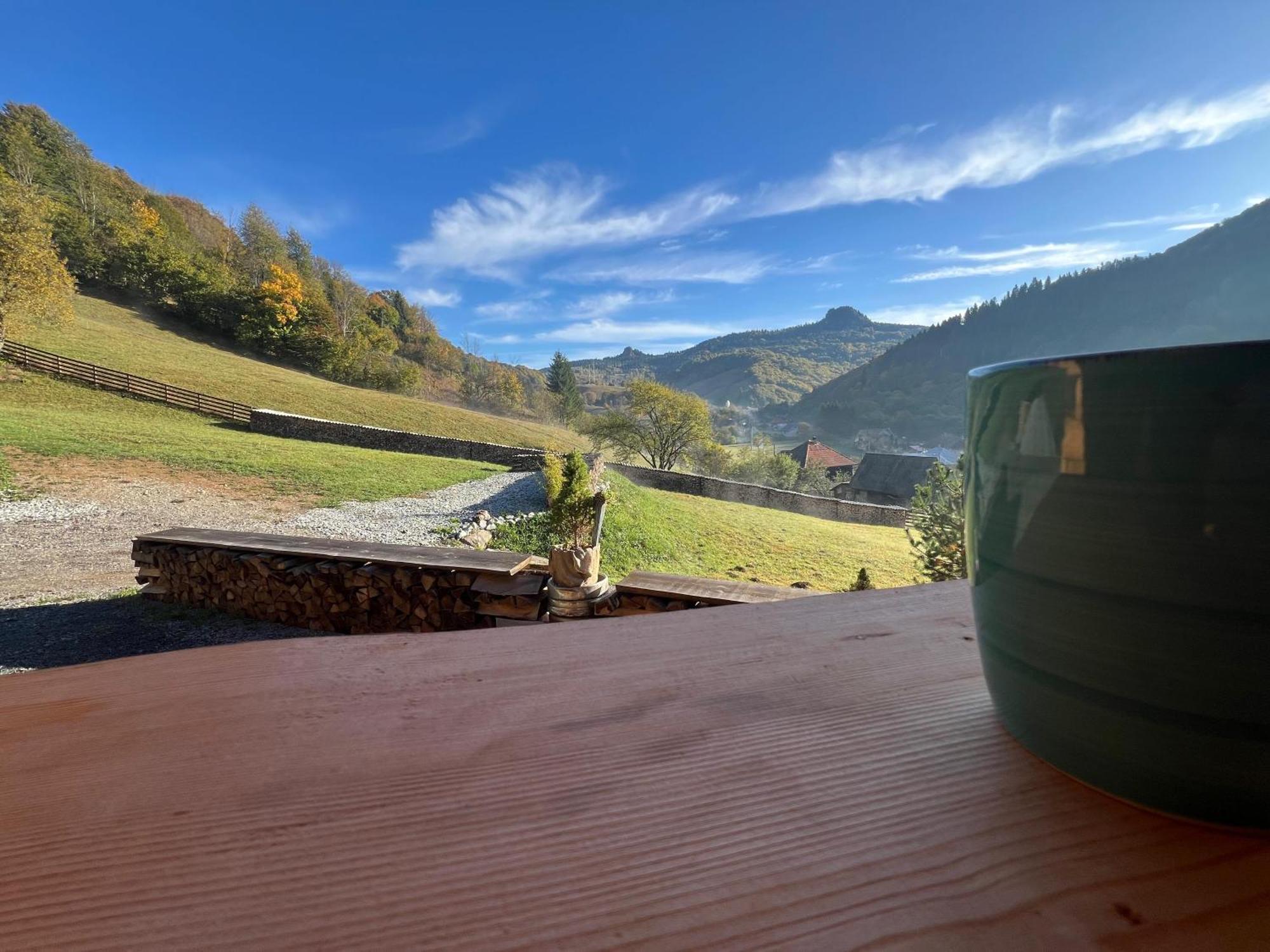 Bucium Ralph Cabin- Apuseni Mountains, Transylvania别墅 外观 照片