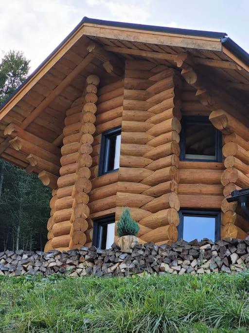 Bucium Ralph Cabin- Apuseni Mountains, Transylvania别墅 外观 照片