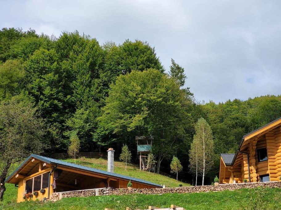 Bucium Ralph Cabin- Apuseni Mountains, Transylvania别墅 外观 照片