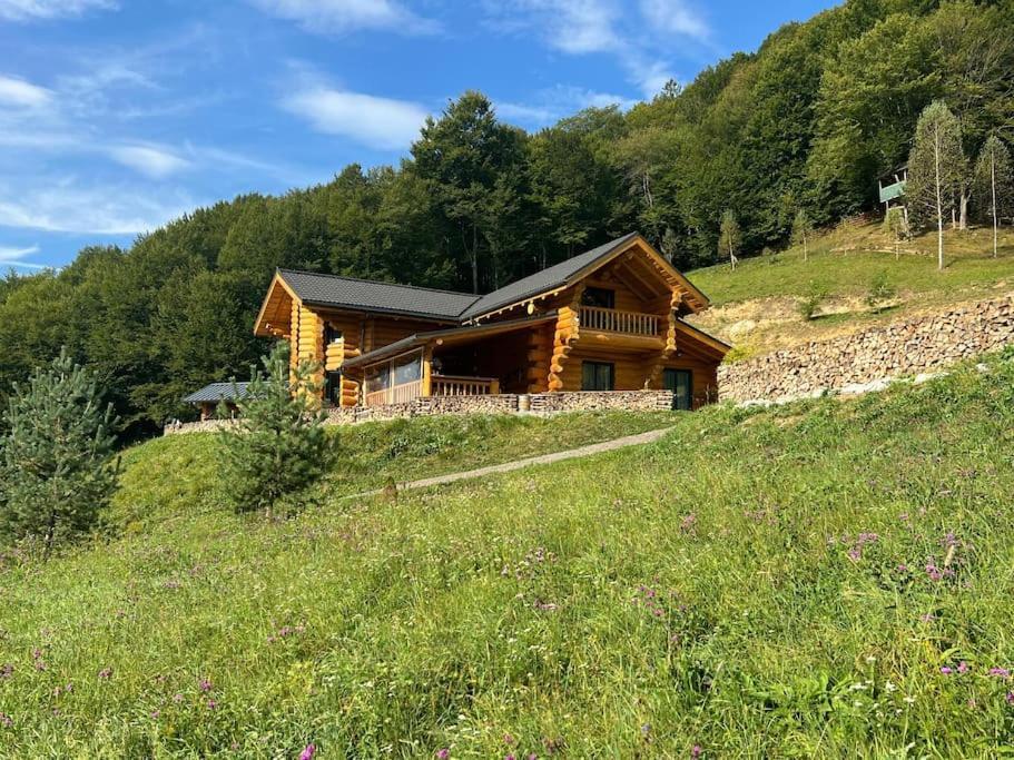 Bucium Ralph Cabin- Apuseni Mountains, Transylvania别墅 外观 照片