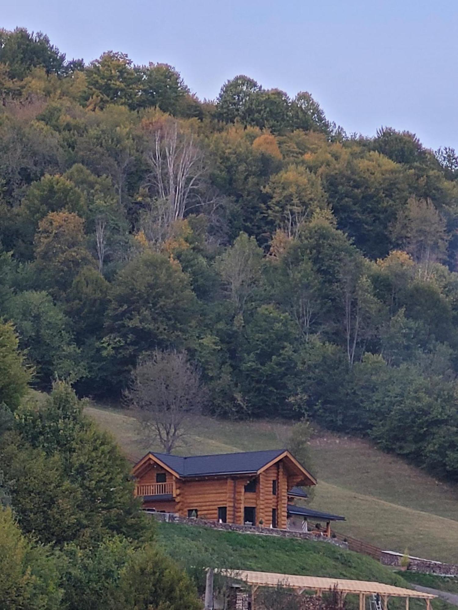 Bucium Ralph Cabin- Apuseni Mountains, Transylvania别墅 外观 照片