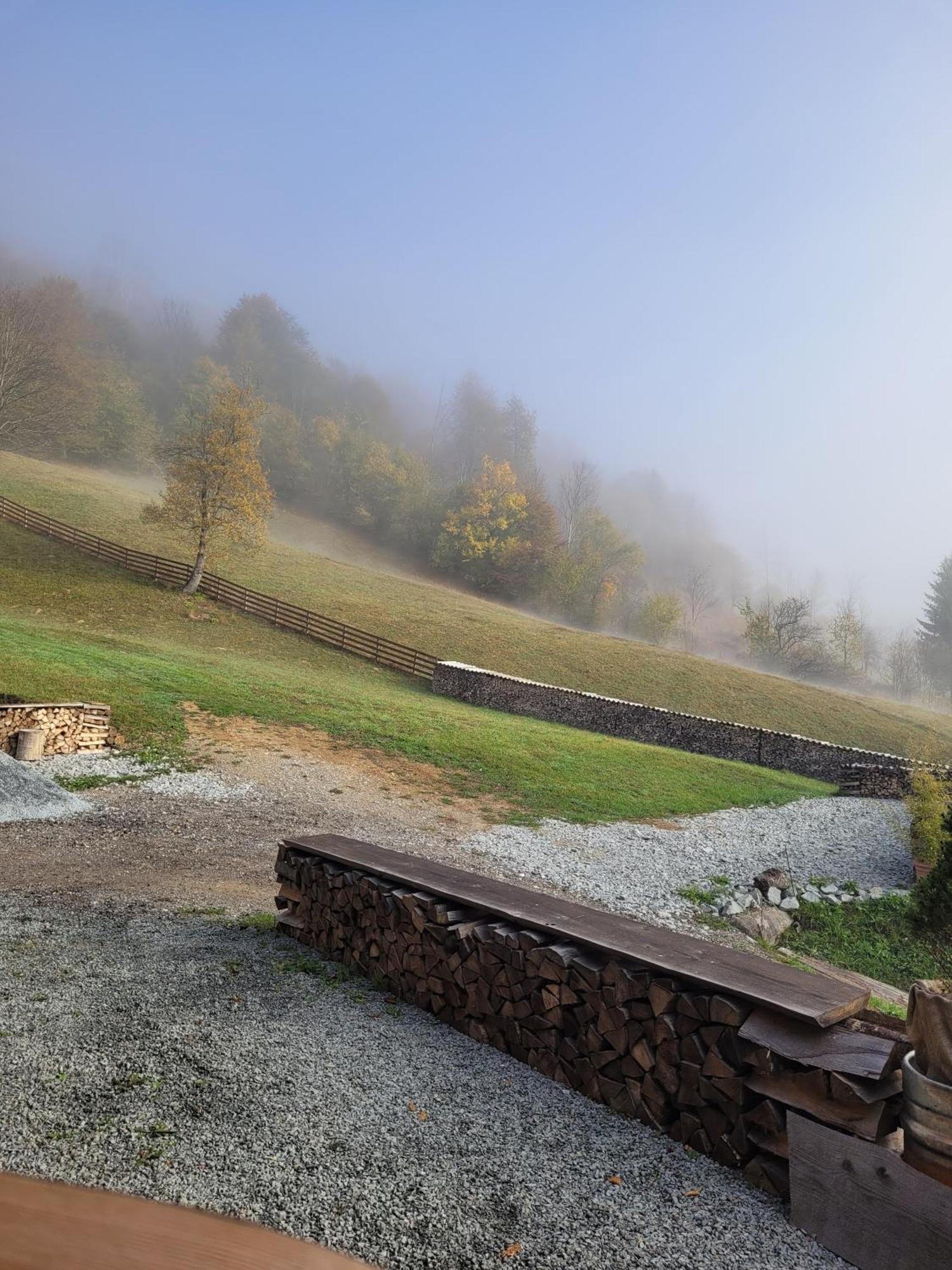 Bucium Ralph Cabin- Apuseni Mountains, Transylvania别墅 外观 照片