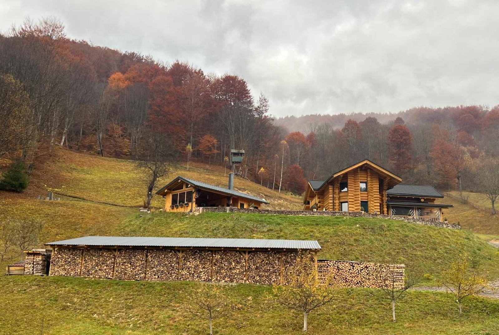 Bucium Ralph Cabin- Apuseni Mountains, Transylvania别墅 外观 照片